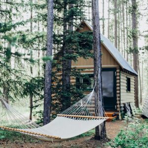 Chalet en forêt