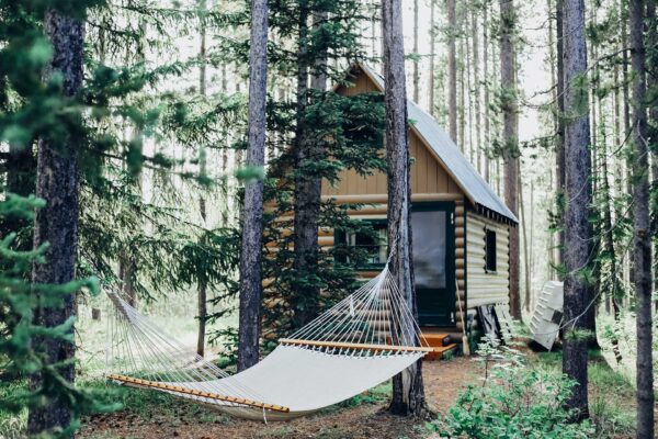 Chalet en forêt